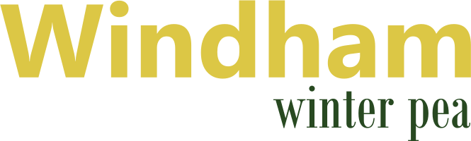 Windham Logo